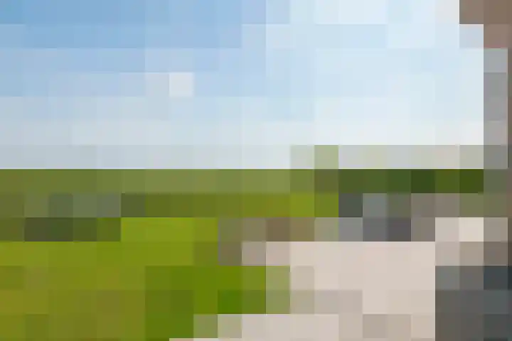 Blanckestyn 29 Meteren thumbnail 35
