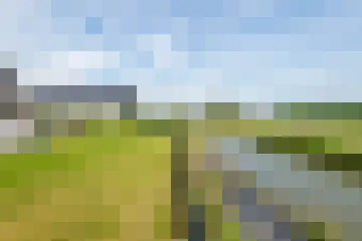 Blanckestyn 29 Meteren thumbnail 36