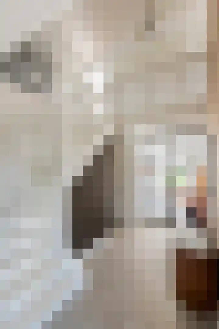 Blanckestyn 29 Meteren thumbnail 40