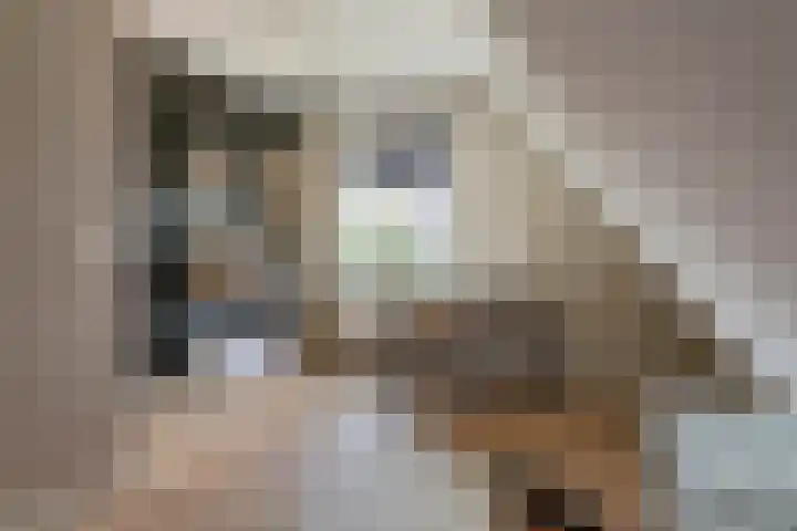 Blanckestyn 29 Meteren thumbnail 43
