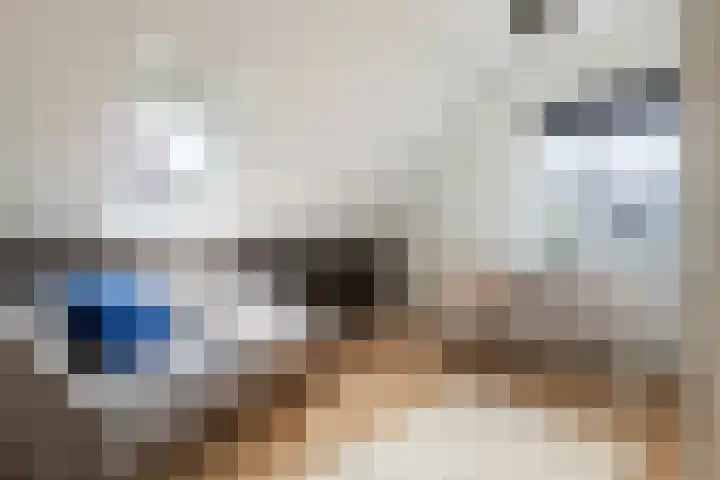 Blanckestyn 29 Meteren thumbnail 45