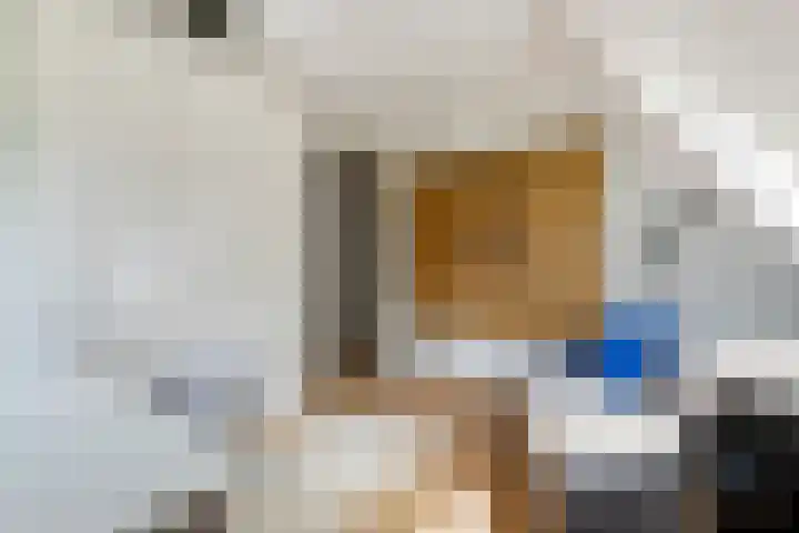 Blanckestyn 29 Meteren thumbnail 46