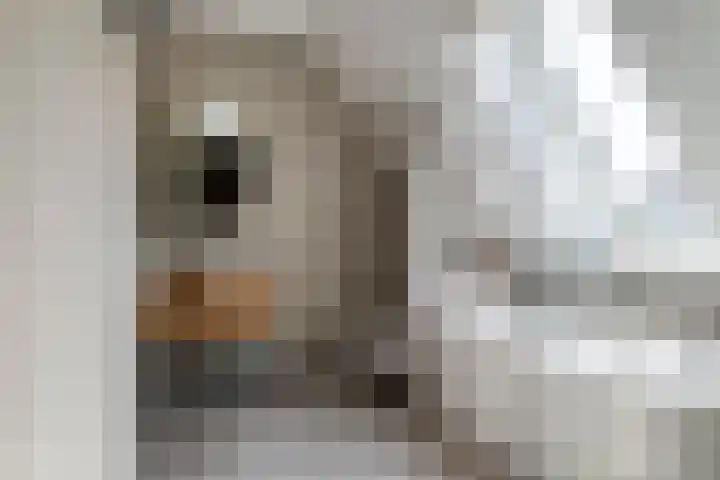 Blanckestyn 29 Meteren thumbnail 57