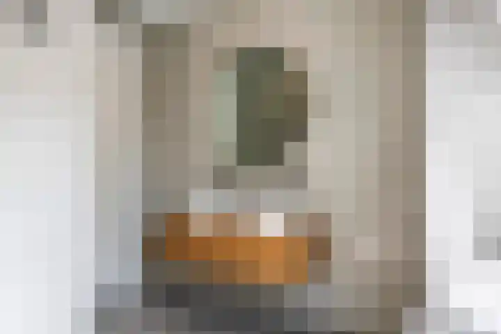 Blanckestyn 29 Meteren thumbnail 58