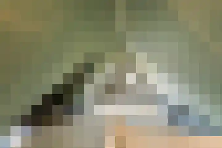Blanckestyn 29 Meteren thumbnail 60