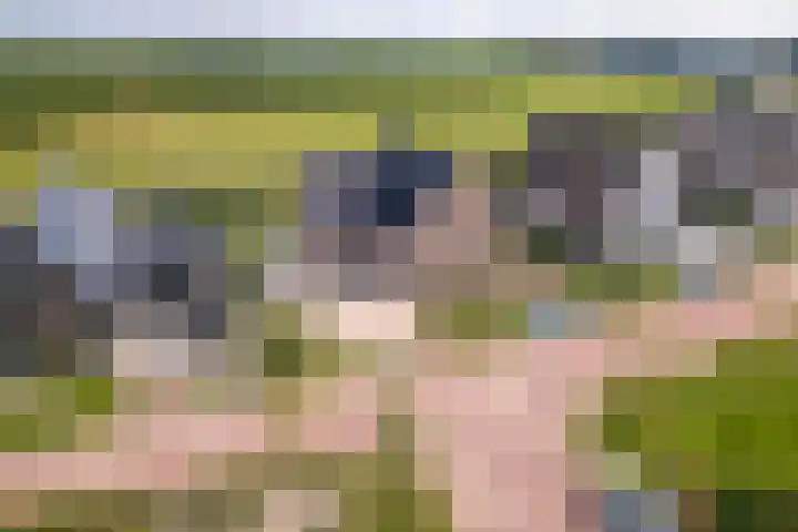 Blanckestyn 29 Meteren thumbnail 63