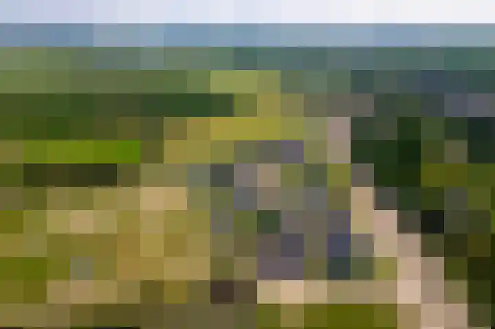 Blanckestyn 29 Meteren thumbnail 64