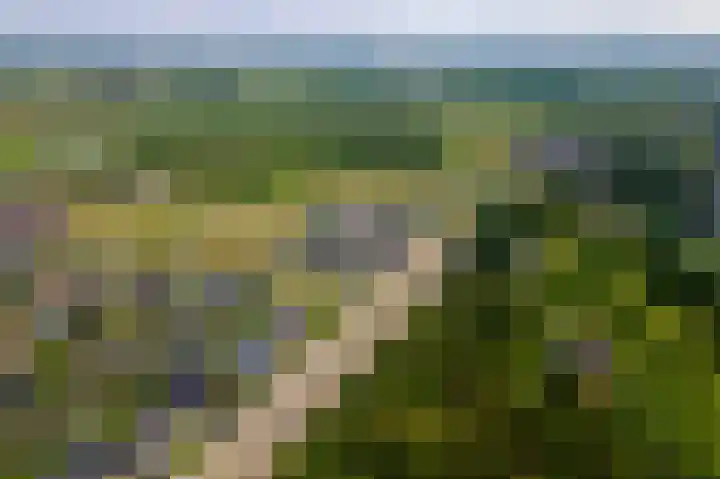 Blanckestyn 29 Meteren thumbnail 65
