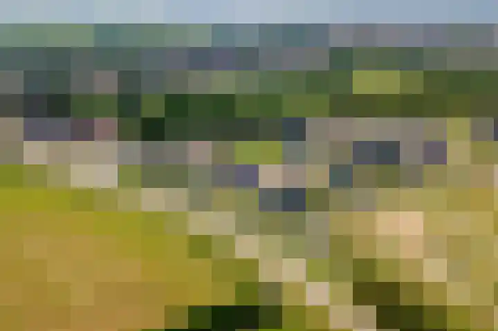Blanckestyn 29 Meteren thumbnail 66