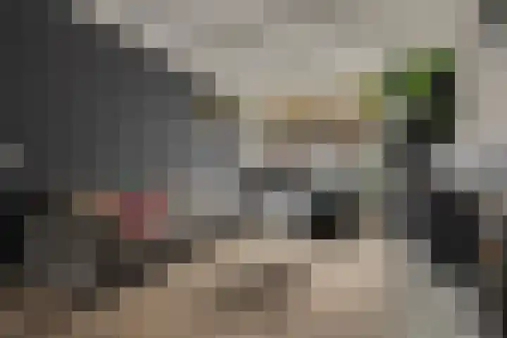Blanckstraat 26 Goes thumbnail 8