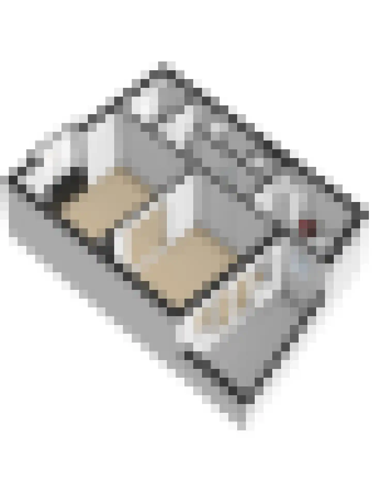 Blanckstraat 5 Goes thumbnail 34