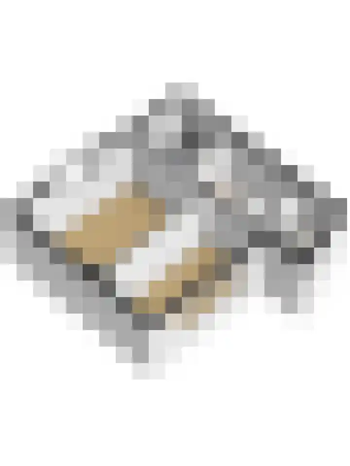 Blanckstraat 9 Goes thumbnail 33