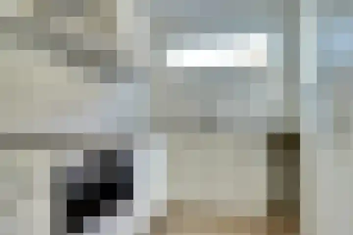 Blanckstraat 9 Goes thumbnail 5