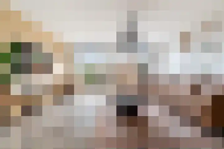 Blankaartweg 10 Zoeterwoude thumbnail 11
