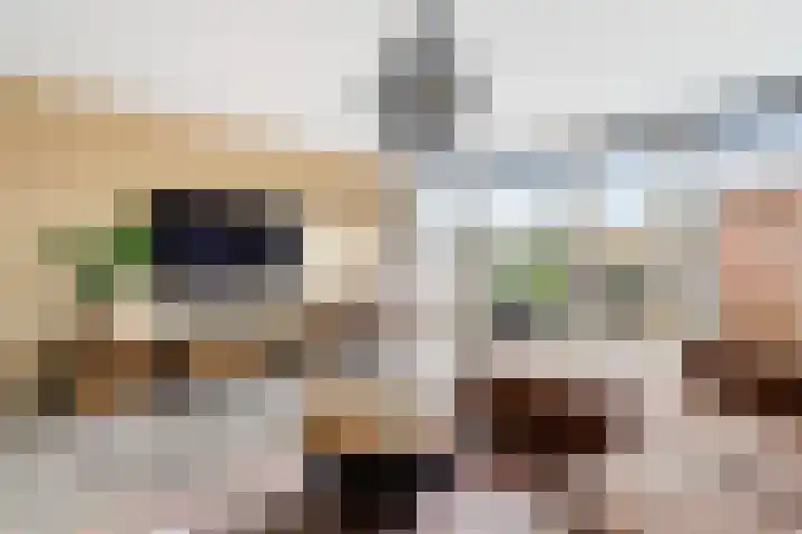 Blankaartweg 10 Zoeterwoude thumbnail 13