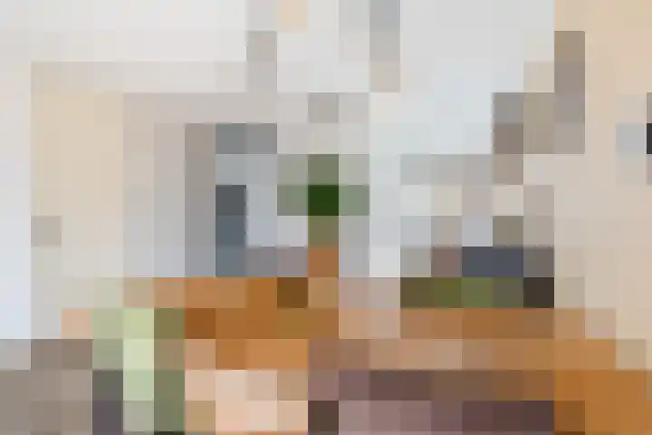 Blankaartweg 10 Zoeterwoude thumbnail 20