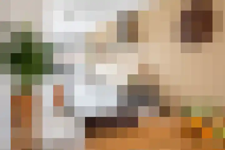 Blankaartweg 10 Zoeterwoude thumbnail 21