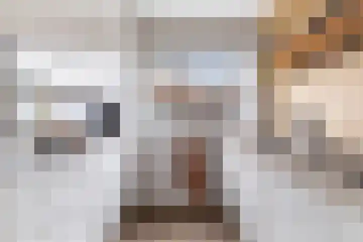 Blankaartweg 10 Zoeterwoude thumbnail 23