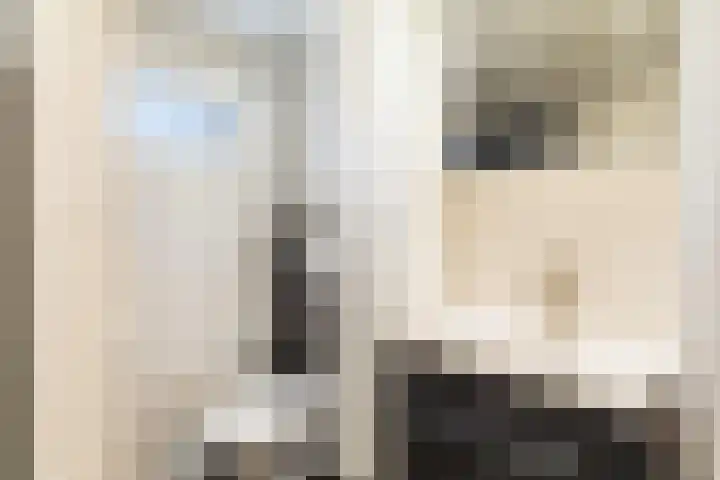 Blankaartweg 10 Zoeterwoude thumbnail 27