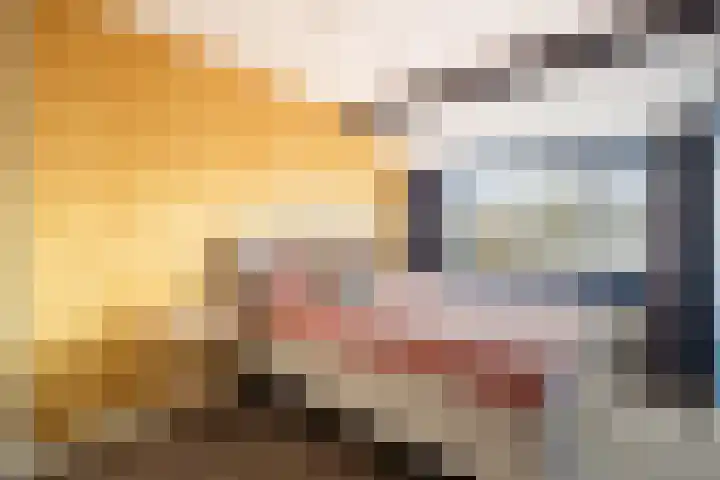 Blankaartweg 10 Zoeterwoude thumbnail 33