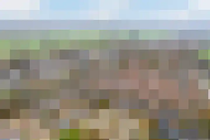 Blankaartweg 10 Zoeterwoude thumbnail 4