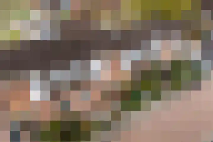 Blankaartweg 10 Zoeterwoude thumbnail 52