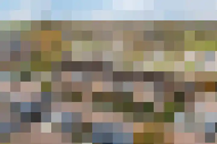 Blankaartweg 10 Zoeterwoude thumbnail 53