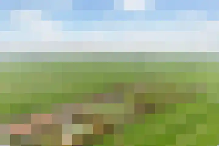 Blankaartweg 10 Zoeterwoude thumbnail 59