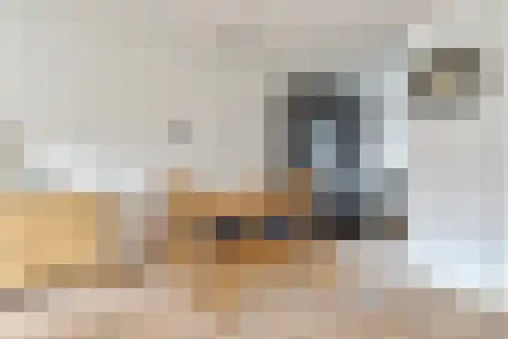 Blankaartweg 7 Zoeterwoude thumbnail 15