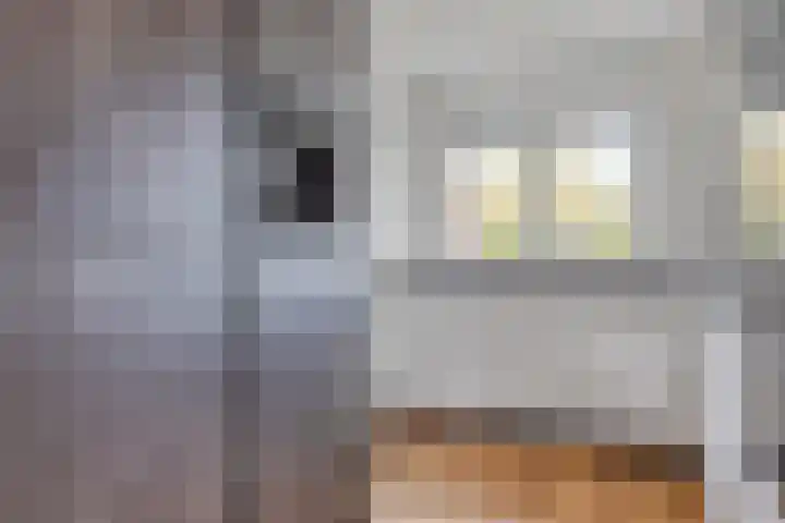 Blankaartweg 7 Zoeterwoude thumbnail 16