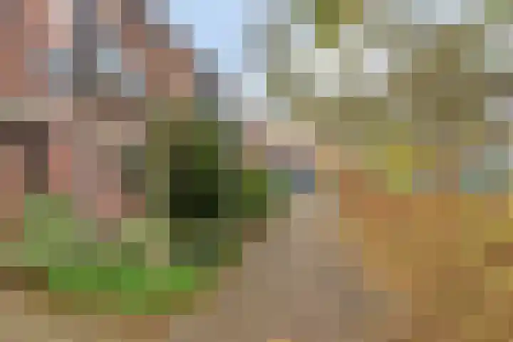 Blankaartweg 7 Zoeterwoude thumbnail 7