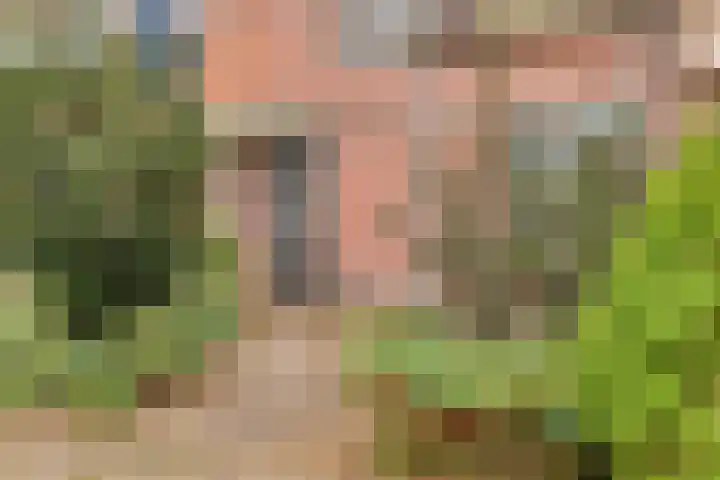 Blankaartweg 7 Zoeterwoude thumbnail 8