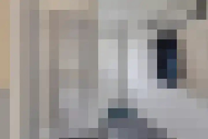 Blankaartweg 7 Zoeterwoude thumbnail 9