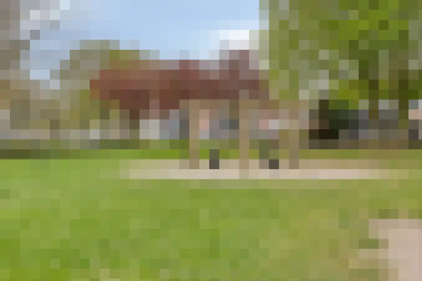 Blankenberg 38 Weert thumbnail 38