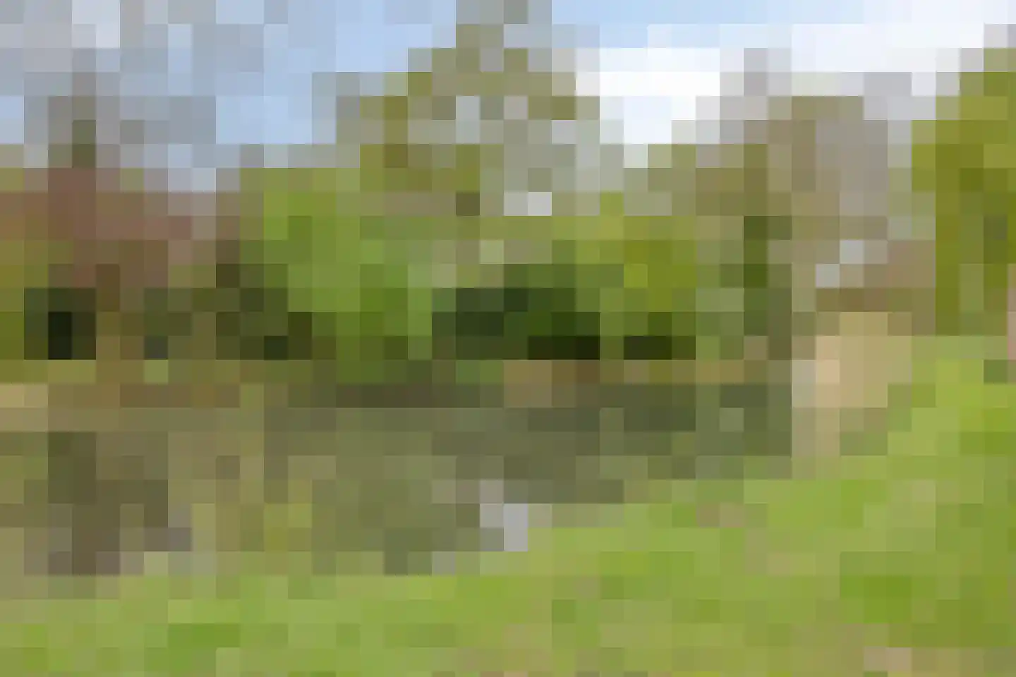 Blankenberg 38 Weert thumbnail 39