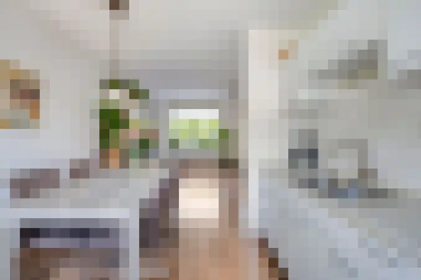 Blankenberg 7 Egmond-Binnen thumbnail 13
