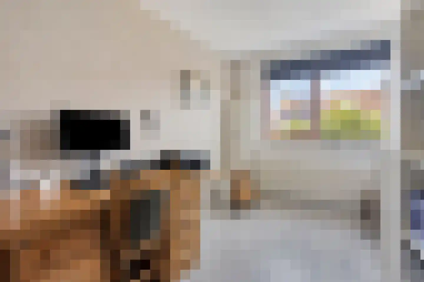 Blankenberg 7 Egmond-Binnen thumbnail 18