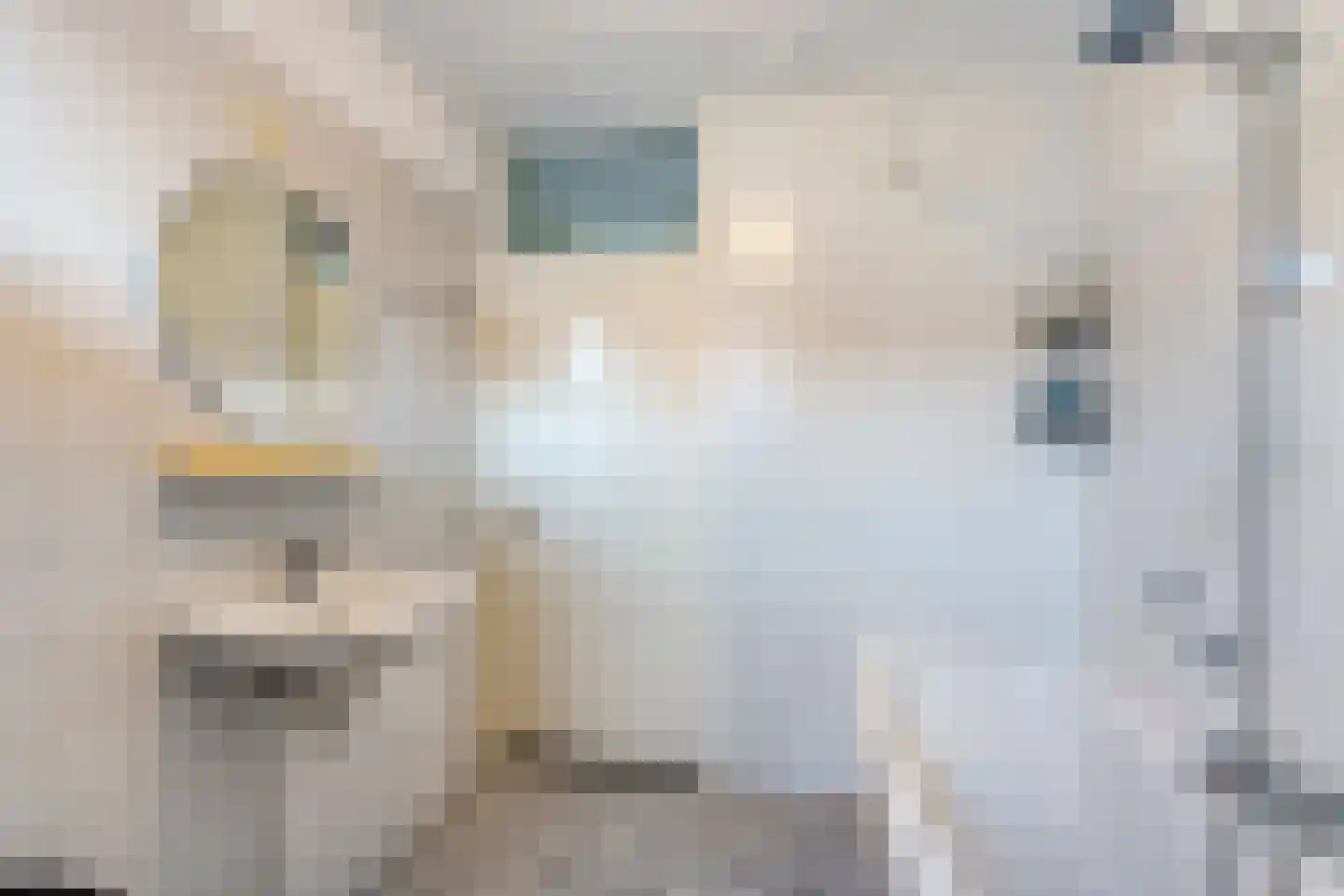 Blankenberg 7 Egmond-Binnen thumbnail 20