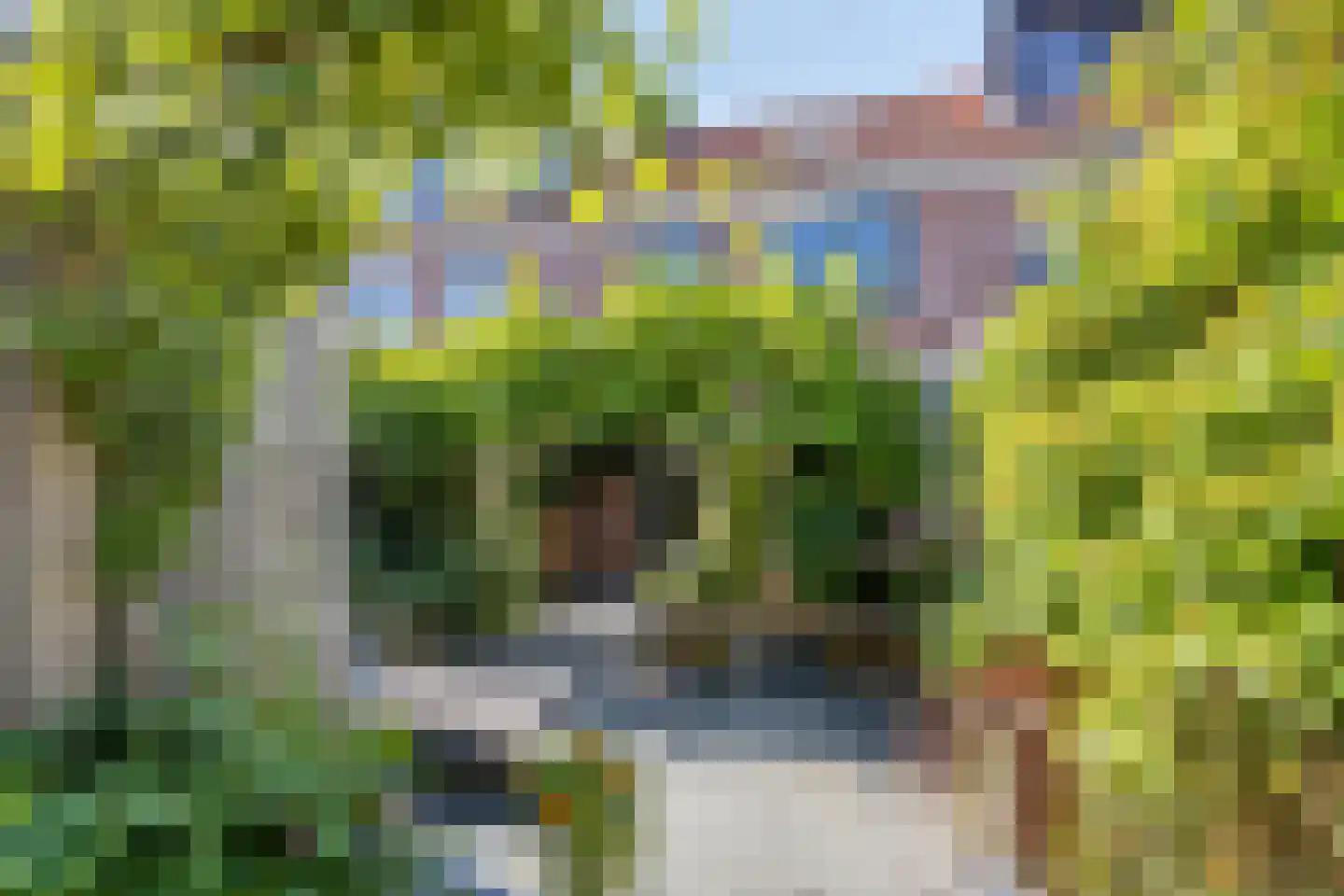 Blankenberg 7 Egmond-Binnen thumbnail 30