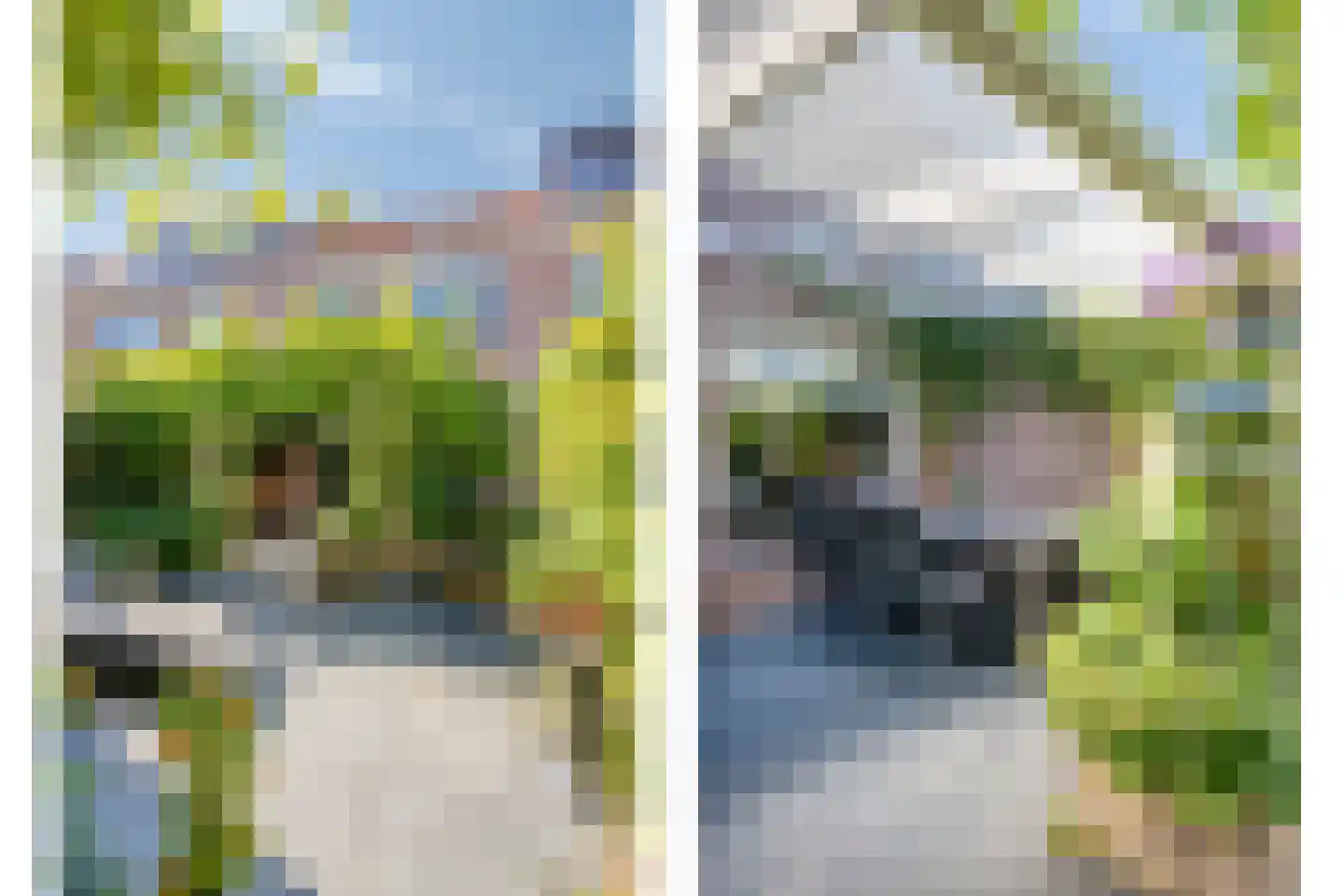 Blankenberg 7 Egmond-Binnen thumbnail 31
