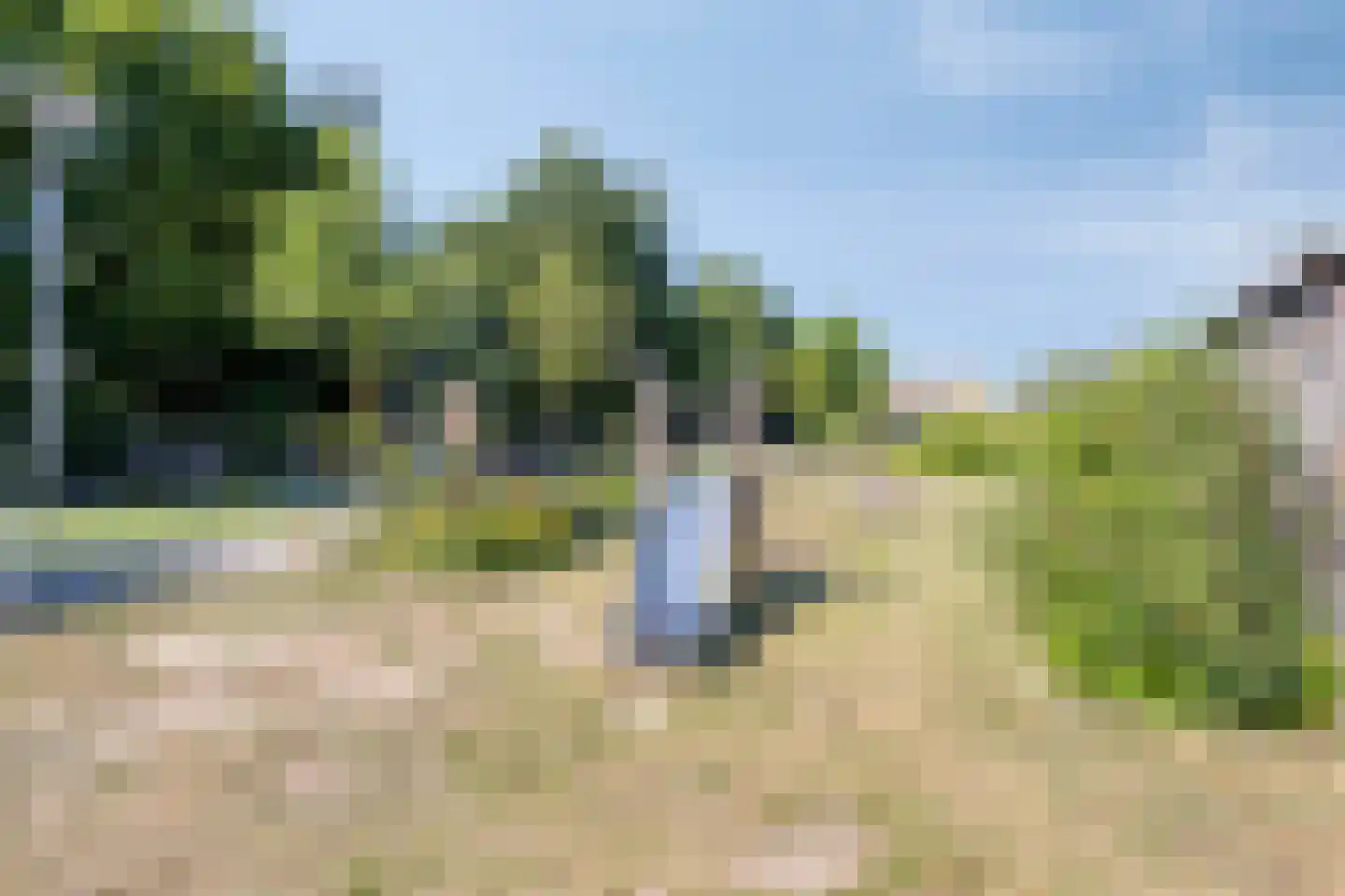 Blankenberg 7 Egmond-Binnen thumbnail 32