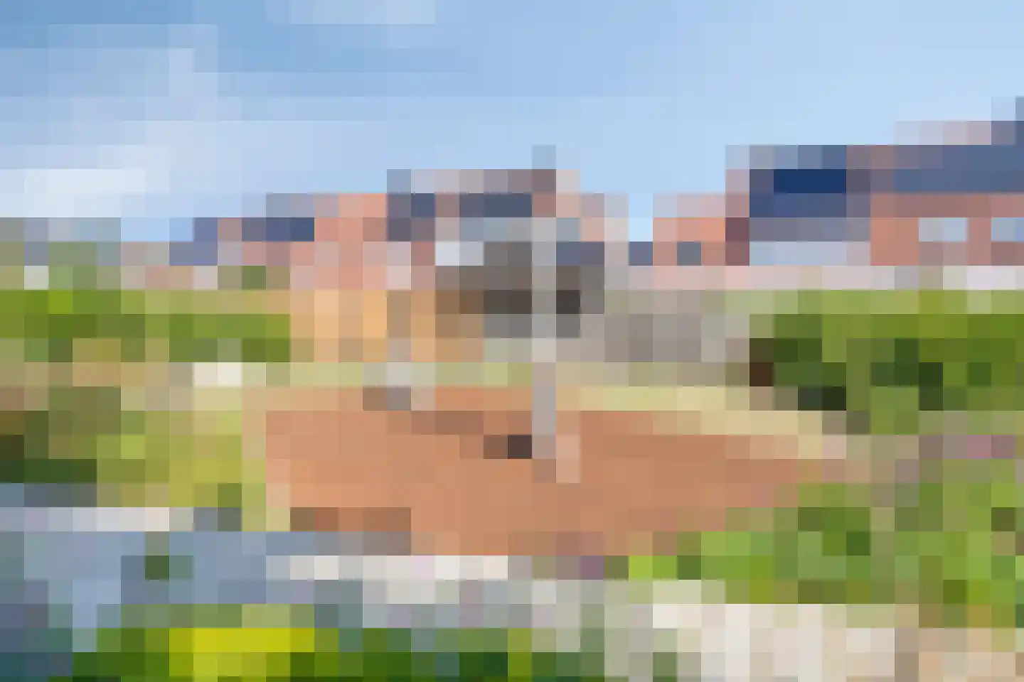 Blankenberg 7 Egmond-Binnen thumbnail 33