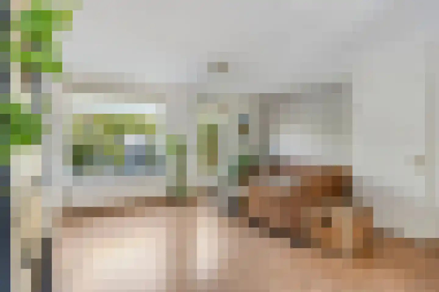 Blankenberg 7 Egmond-Binnen thumbnail 6