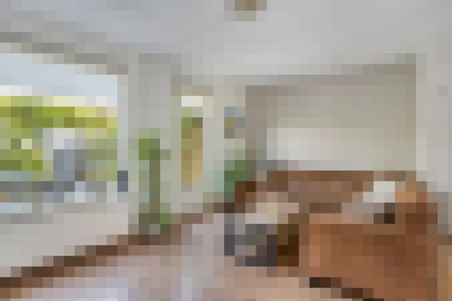 Blankenberg 7 Egmond-Binnen thumbnail 7
