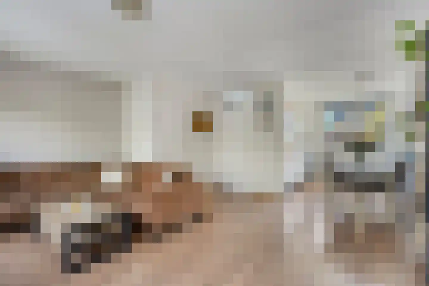 Blankenberg 7 Egmond-Binnen thumbnail 9