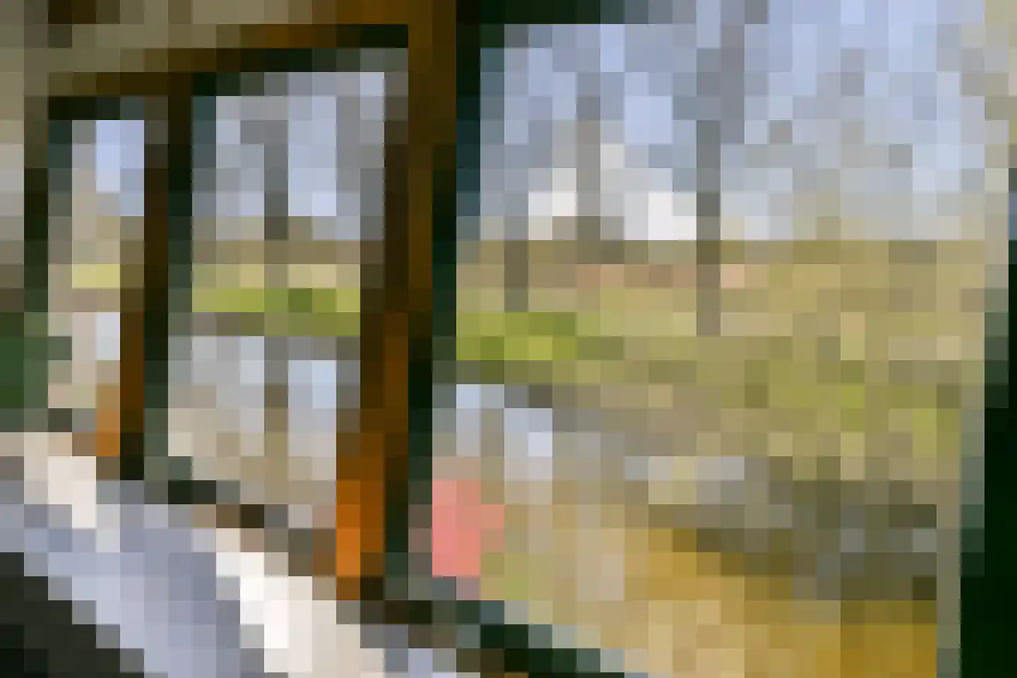 Blankenbergestraat 18 Amsterdam thumbnail 18