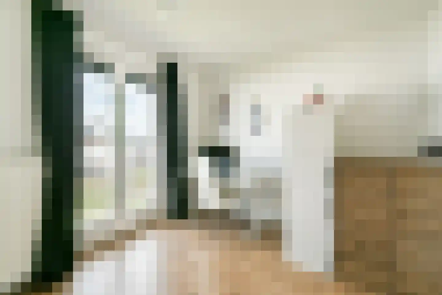 Blankenbergestraat 43 Amsterdam thumbnail 18