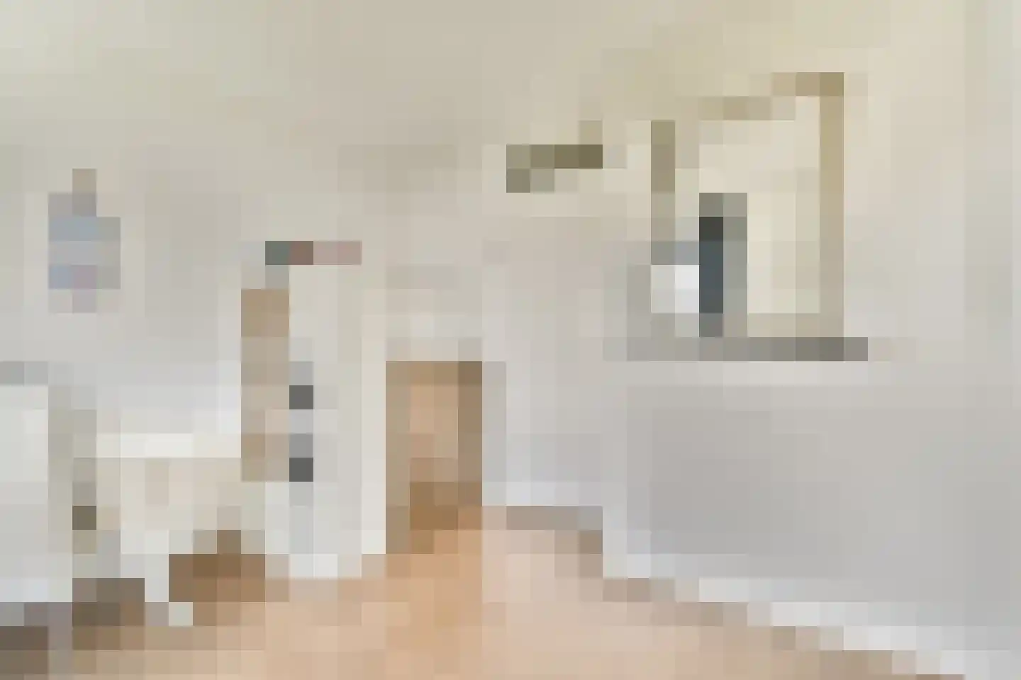 Blankenbergestraat 43 Amsterdam thumbnail 19