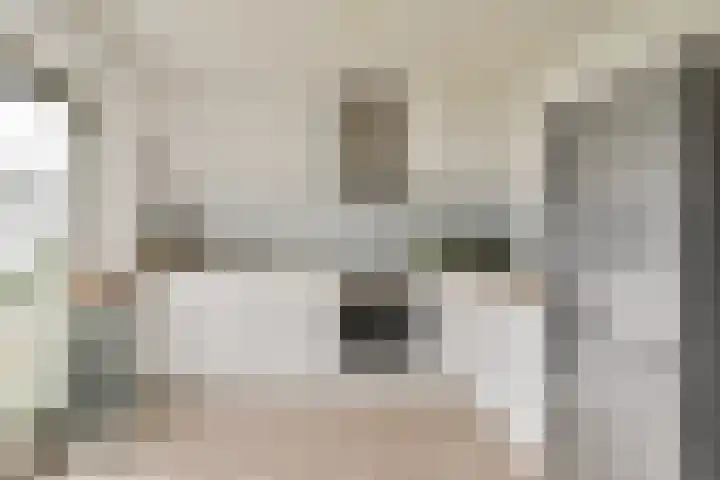 Blankenbergestraat 5 Amsterdam thumbnail 7