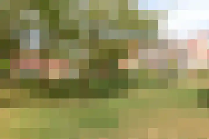 Blankenborghoek 24 Enschede thumbnail 33